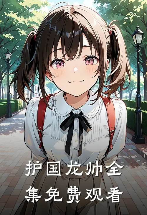 护国龙帅全集免费观看