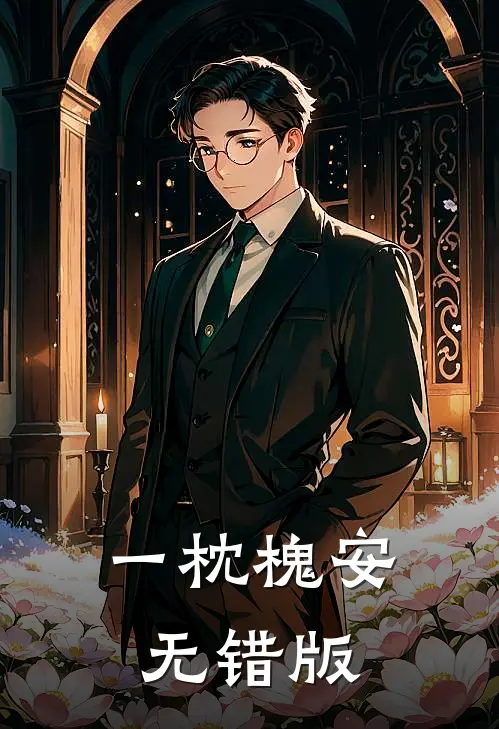 一枕槐安无错版