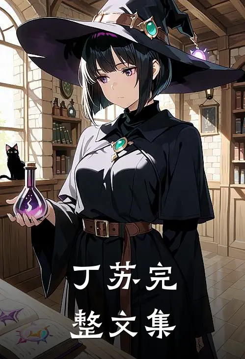 丁苏完整文集