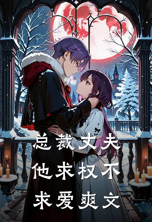 总裁丈夫他求权不求爱爽文