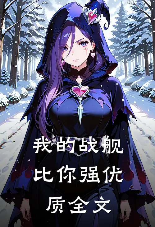 我的战舰比你强优质全文