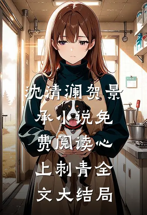 沈清澜贺景承小说在哪里可以看