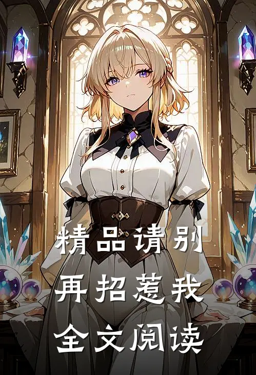 精品请别再招惹我全文阅读