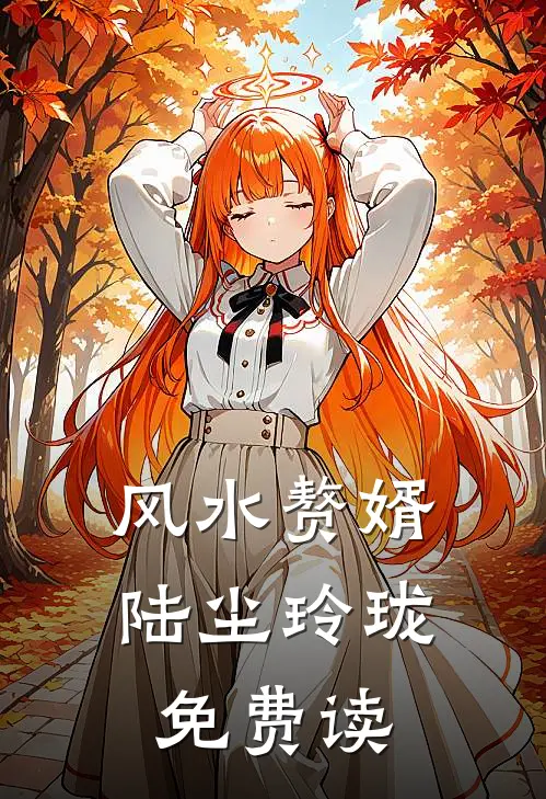 风水赘婿陆尘玲珑免费读