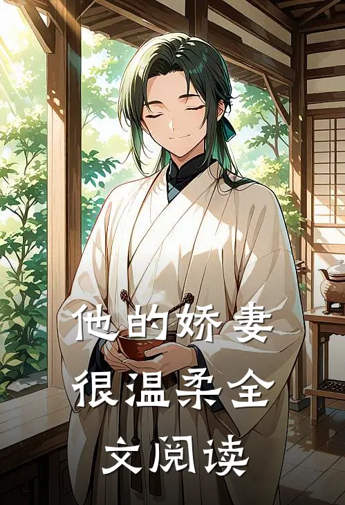 他的娇妻很温柔全文阅读