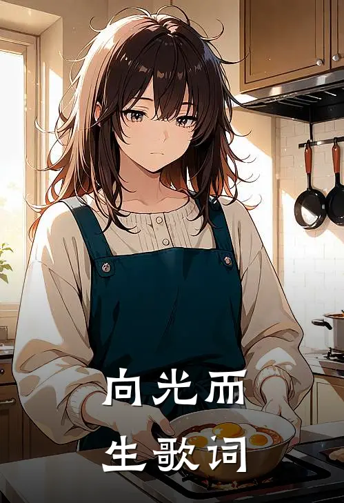 向光而生歌词