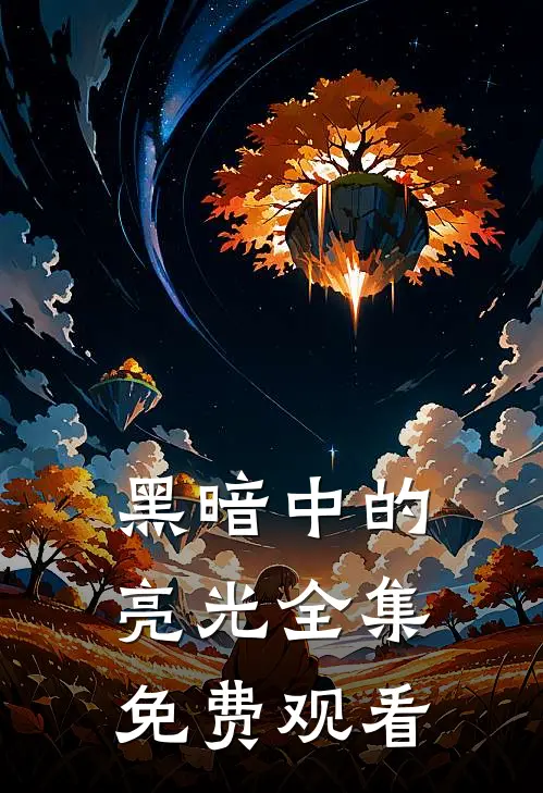 黑暗中的亮光 全集免费观看
