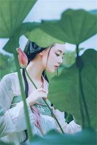 他有悔精品选集