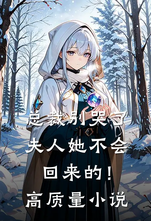 总裁别哭了，夫人她不会回来的！高质量小说