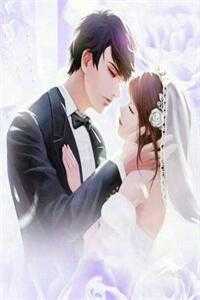 我寄长风以沉默小说