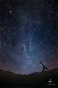 杀猪匠闺女重生后，糙军官有崽了完结txt