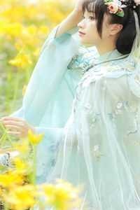 浮生一白没孤鸿良心推荐