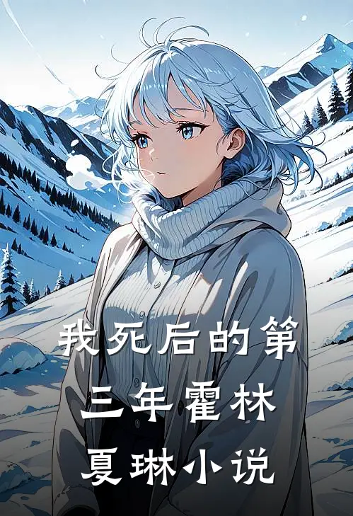 我死后的第三年霍林夏琳小说