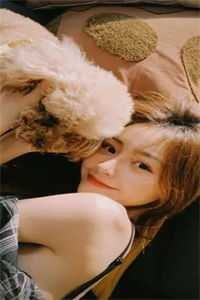 三块牌匾震全网，谁敢欺负我家人！苏诚苏灿后续+全文