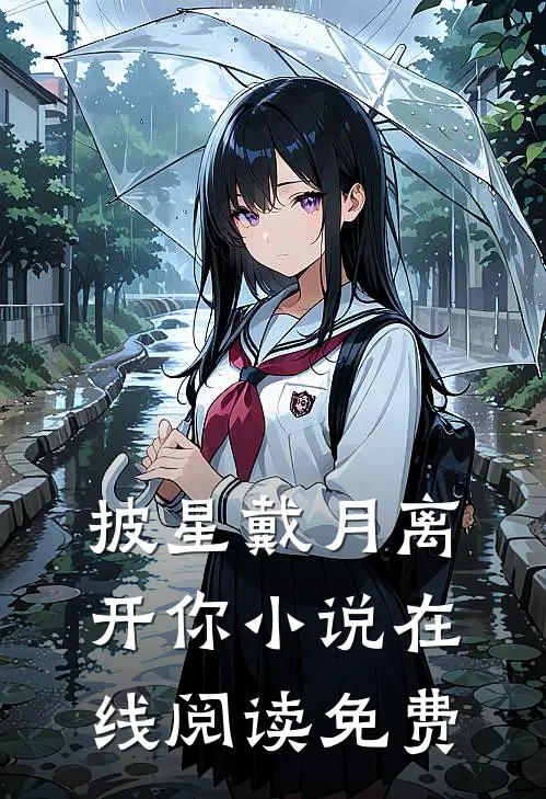 披星戴月离开你小说在线阅读免费