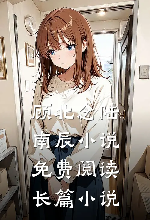 顾北念陆南辰小说免费阅读长篇小说