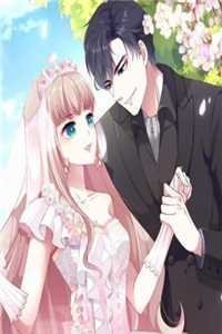 旧巷花落人无踪新上热文