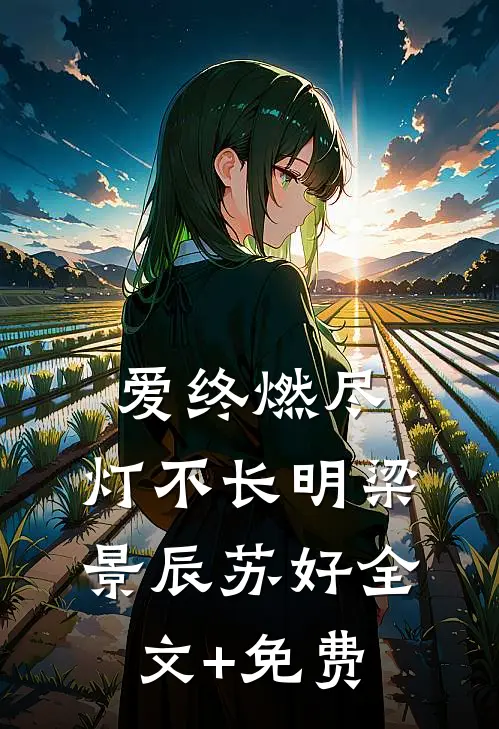 爱终燃尽，灯不长明梁景辰苏好全文+免费