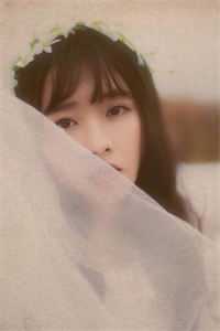 江月宴散两茫茫热门推荐