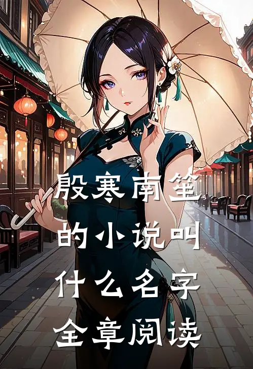 殷寒南笙的小说叫什么名字全章阅读