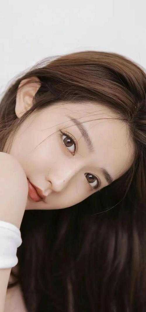 我寄长风以沉默完整版