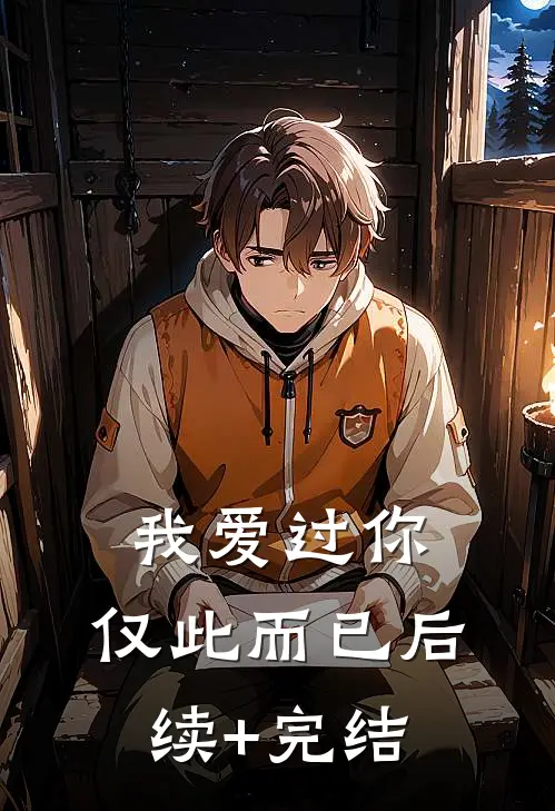 我爱过你，仅此而已后续+完结