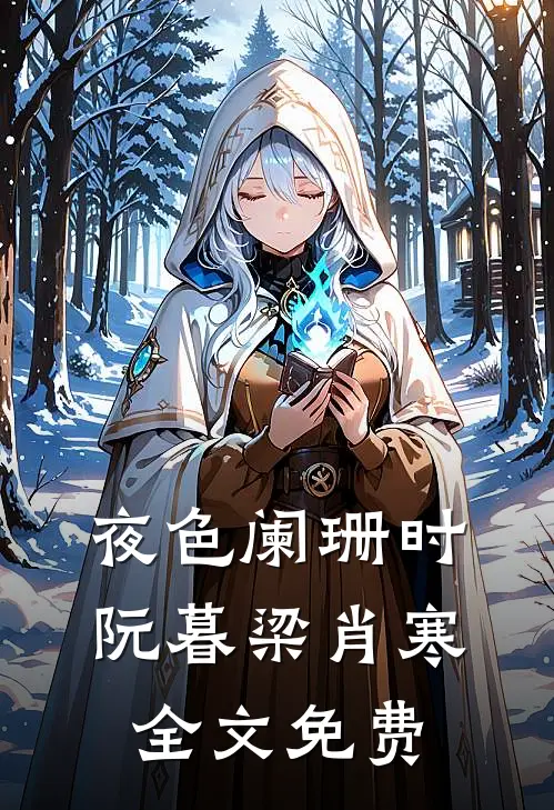 夜色阑珊时阮暮梁肖寒全文免费