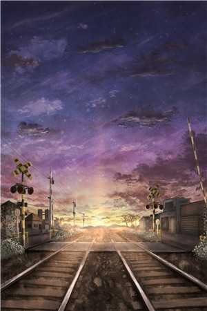 孤星悬星河周珈宁顾弘宴全集