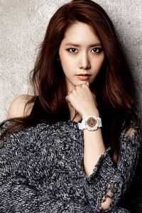 那年风月再无影傅砚深季楚瑶全局