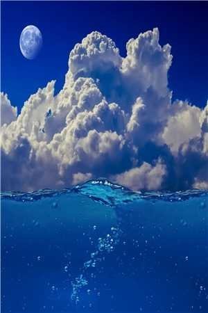 帮公司赚了十个亿后，我被女总裁调去扫厕所热门