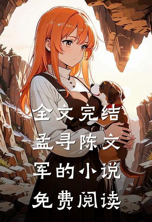 全文完结孟寻陈文军的小说免费阅读