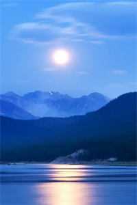 社畜神医暴富指南：从权贵到江湖小说免费阅读全文