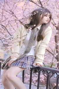 杨花雪落覆归尘最新章节