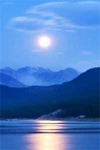 同学会上豪门妻子当众逼我退婚完结文