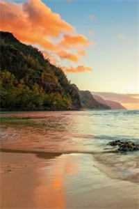 今朝花落染秋深热门小说