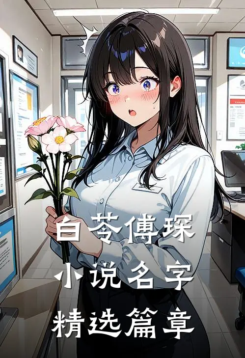 白苓傅琛小说名字精选篇章