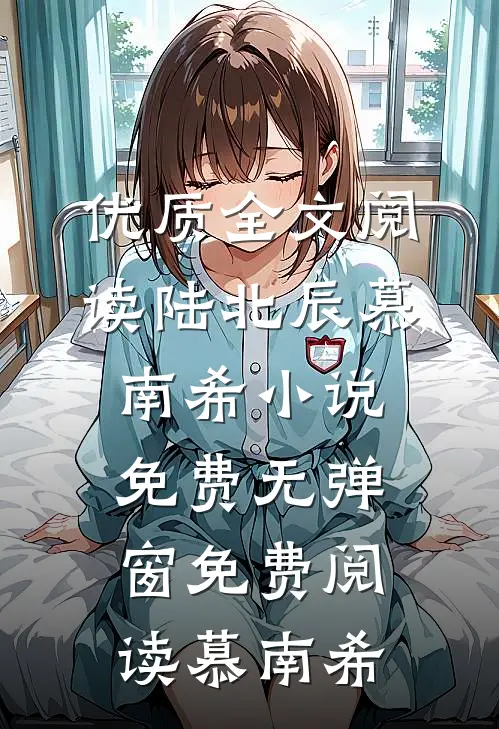 优质全文阅读陆北辰慕南希小说免费无弹窗免费阅读慕南希