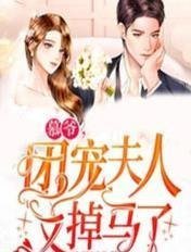 梨花落尽，云散夜未明全书阅读