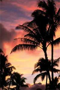 我寄长风以沉默最后结局