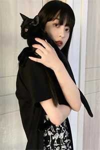 她曾把光藏入怀人气小说