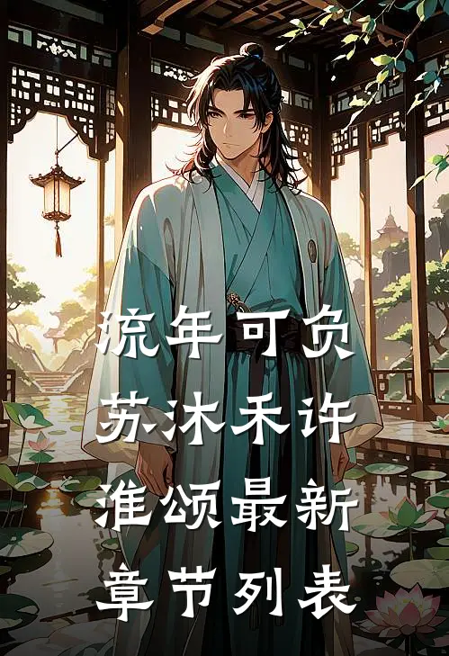 流年可负苏沐禾许淮颂最新章节列表
