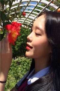 寒空孤星落晚舟结局+后续