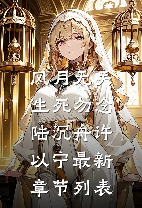 风月无关，生死勿念陆沉舟许以宁最新章节列表