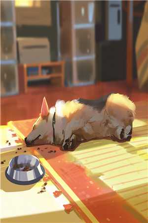 她的名字写在时光里后续+结局