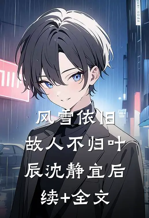 风雪依旧，故人不归叶辰沈静宜后续+全文