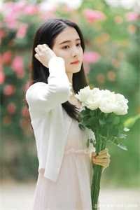 劳斯莱斯被砸后，我杀疯了的小说