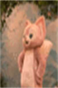 浮生一白没孤鸿许青棠尹南秋番外