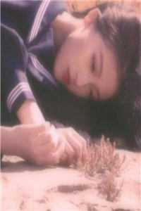 嘉木不明青山远完结txt