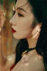 孤星悬星河小说免费阅读