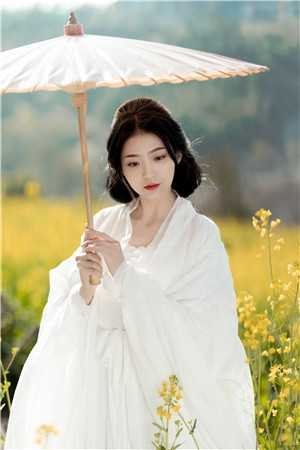 维多利亚港的告别信爆款宝藏